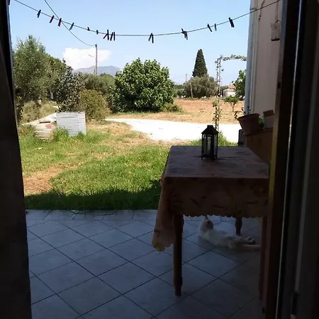 Landhuis Summer